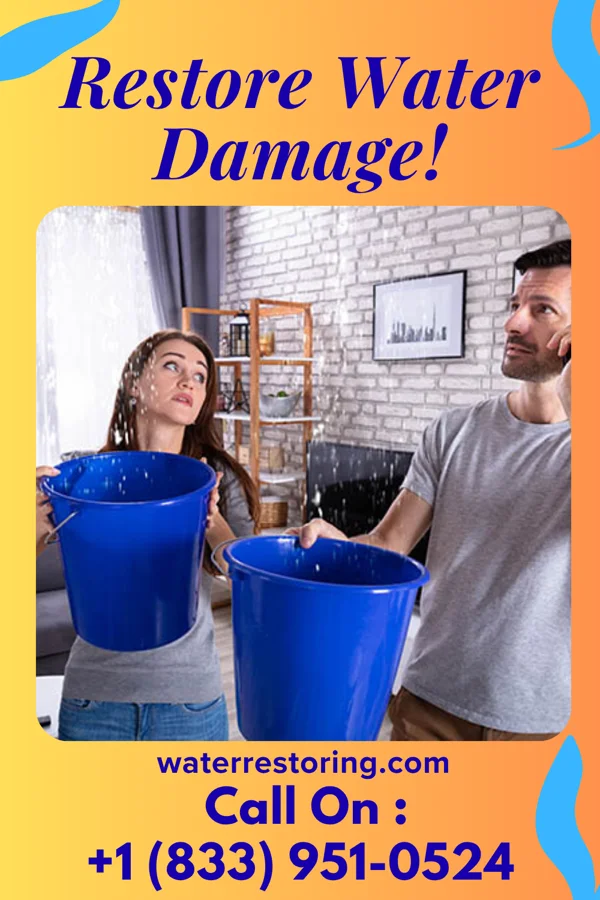water restoration Apex Water Damage Solutions Villanova